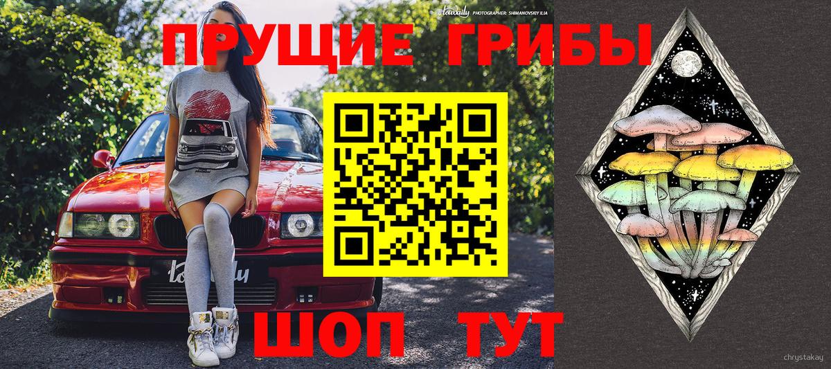 Галлюциногенные грибы Magic Shrooms  Вход с VPN  Псилоцибиновые грибы Cubensis  как найти наркотики  Калач-на-Дону 